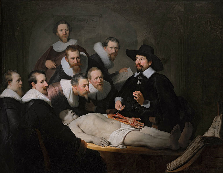 The Anatomy Lesson of Dr Nicolaes Tulp 1632  by Rembrandt 1606-1669  Royal Picture Gallery Mauritshuis 146